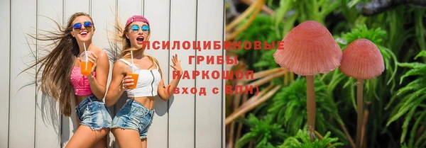 гашик Вязьма