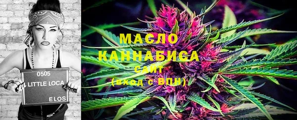 гашик Вязьма