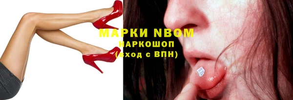 шишки Вязники