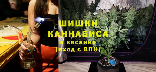 гашик Вязьма