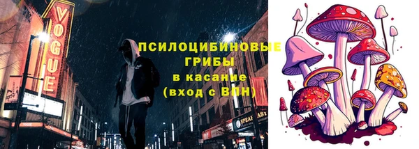 гашик Вязьма
