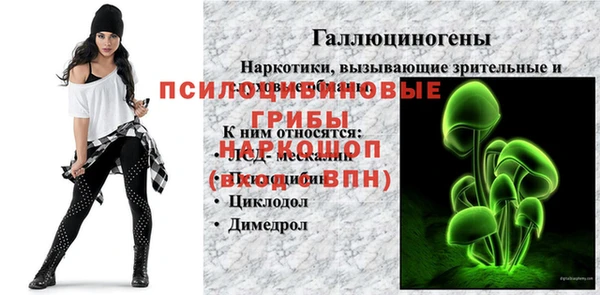 шишки Вязники