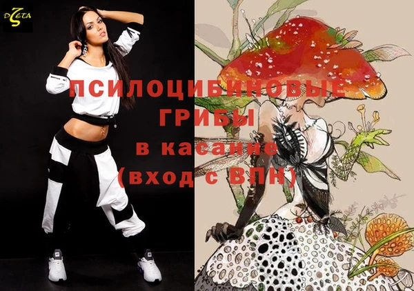марки nbome Вяземский