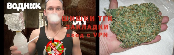 шишки Вязники