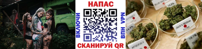 Шишки марихуана OG Kush Мценск